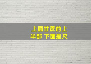 上面甘蔗的上半部 下面是尺